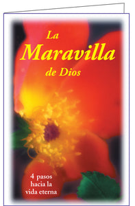 Spanish Gospel Combo GV71-74 Ternura, Puente, Maravilla, Gracia 1k tratados $29.80