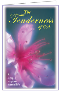 Christian tracts and salvation pamphlets in Eng. and Spanish 250 $6.95 ...