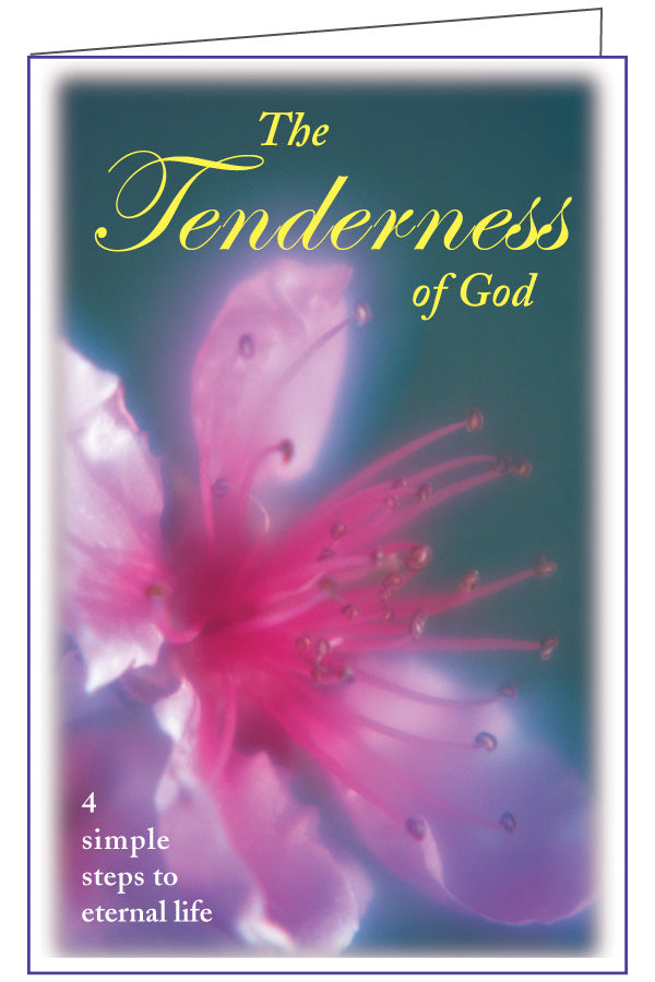 The Tenderness of God (250 evangelism tracts $ .03 c/u) gve71